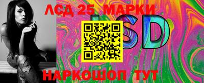 гашик Можга