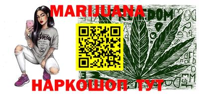 гашик Можга