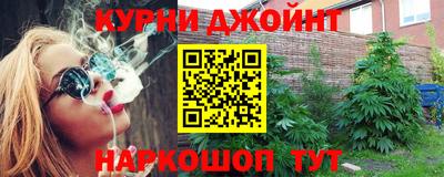гашик Можга