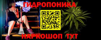 гашик Можга